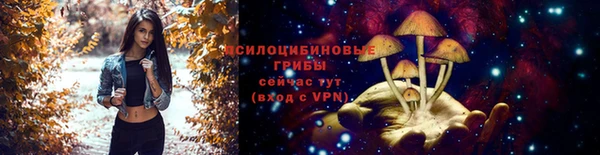 спиды Вязники