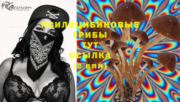 марихуана Вяземский