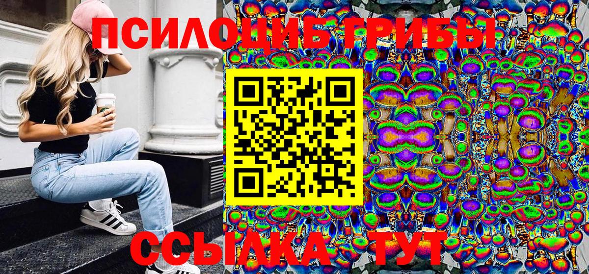 купить   Вход с VPN  Балабаново  Галлюциногенные грибы Magic Shrooms 