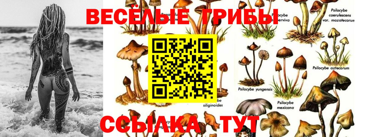 что такое   Псилоцибиновые грибы Psilocybine cubensis  Вход с VPN  Балабаново 