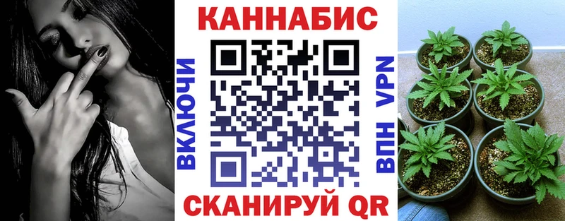 Конопля AK-47  Балабаново 